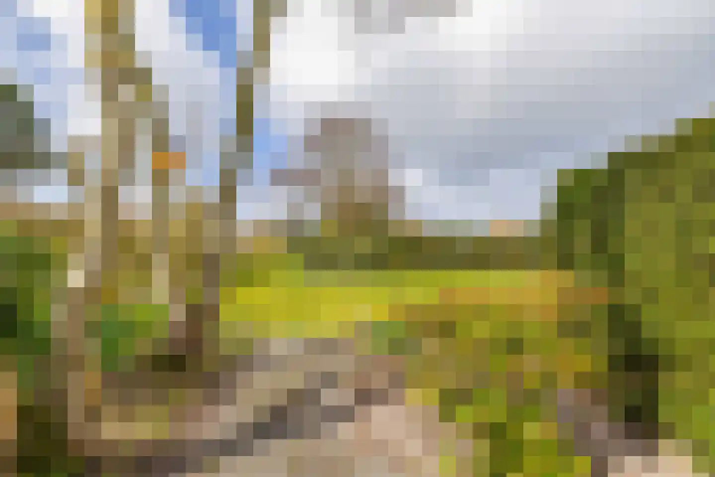 Watermunt 19 Julianadorp thumbnail 18
