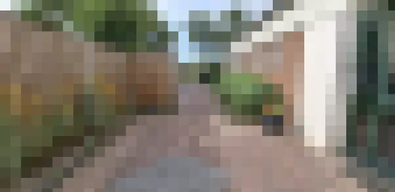 Watermunt 19 Julianadorp thumbnail 22