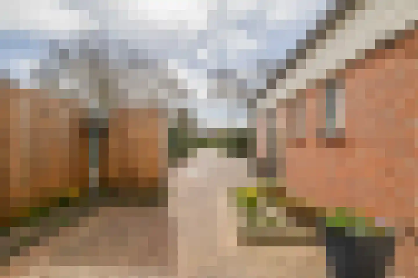Watermunt 19 Julianadorp thumbnail 26