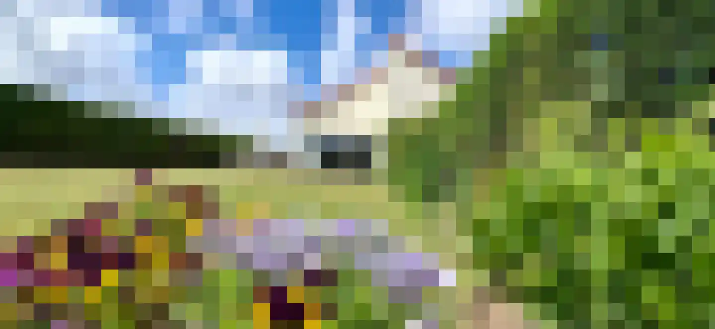 Watermunt 19 Julianadorp thumbnail 26