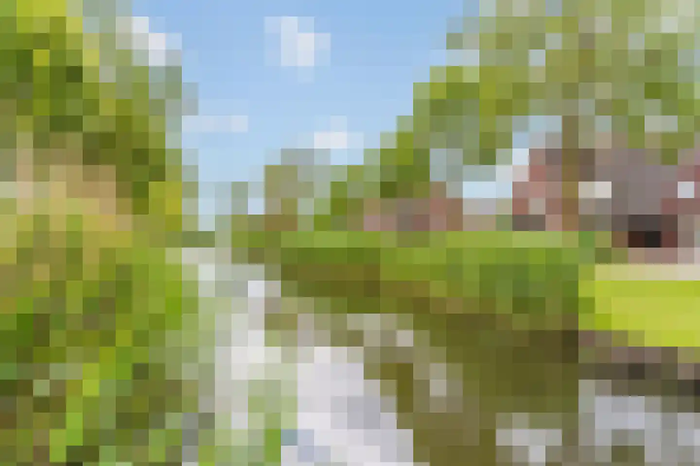 Watermunt 19 Streefkerk thumbnail 33