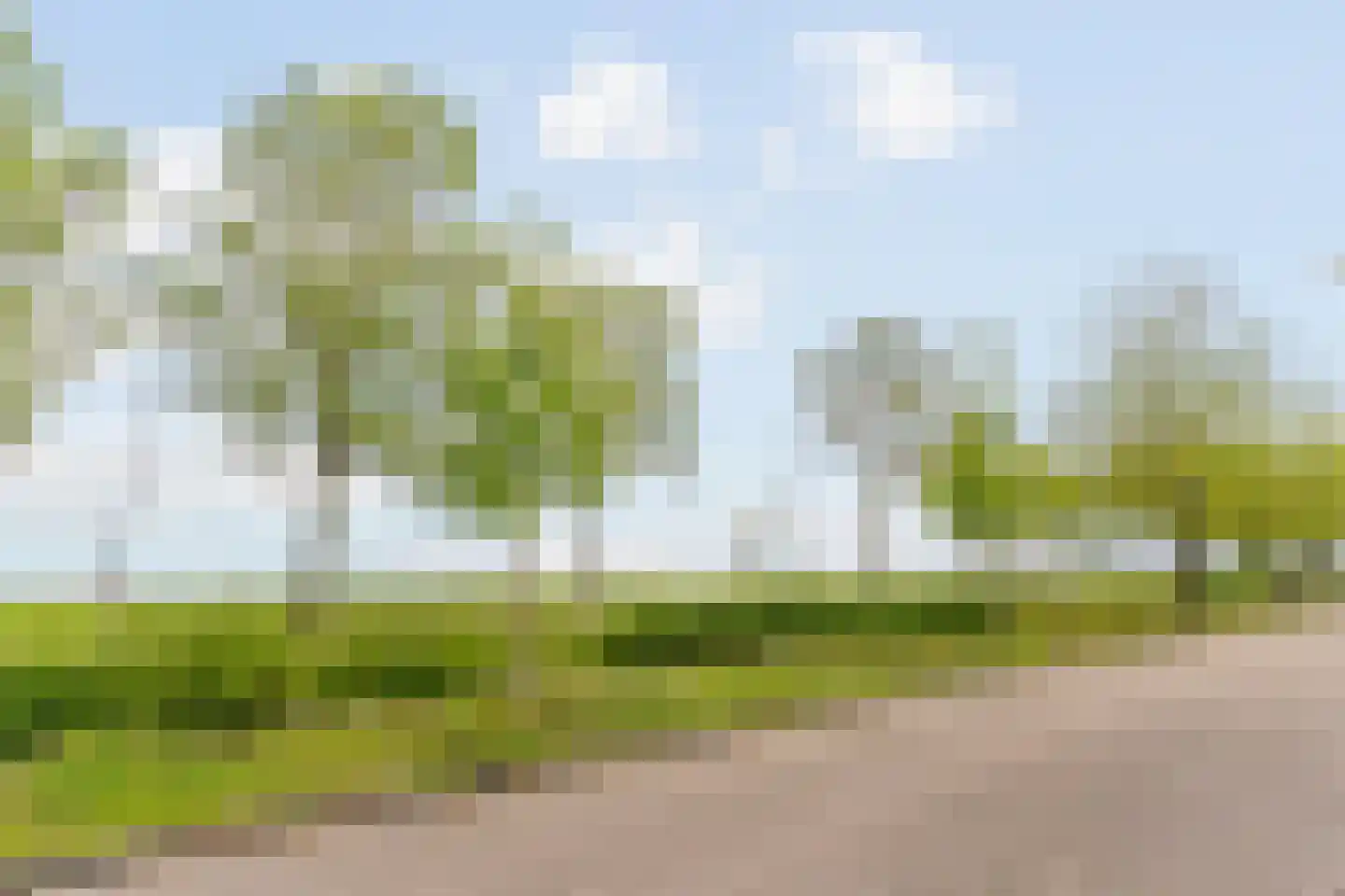Watermunt 19 Streefkerk thumbnail 34