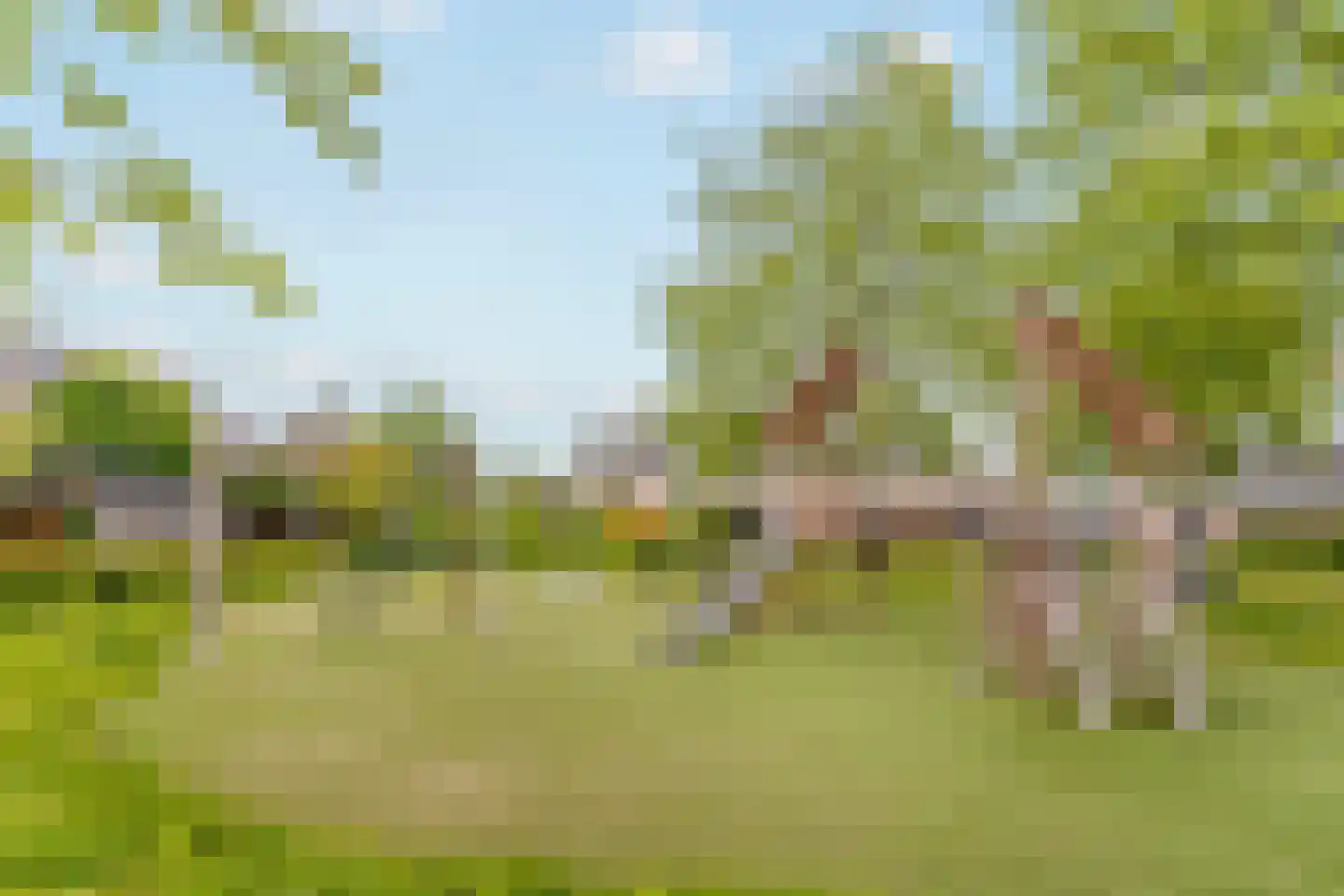 Watermunt 19 Streefkerk thumbnail 35