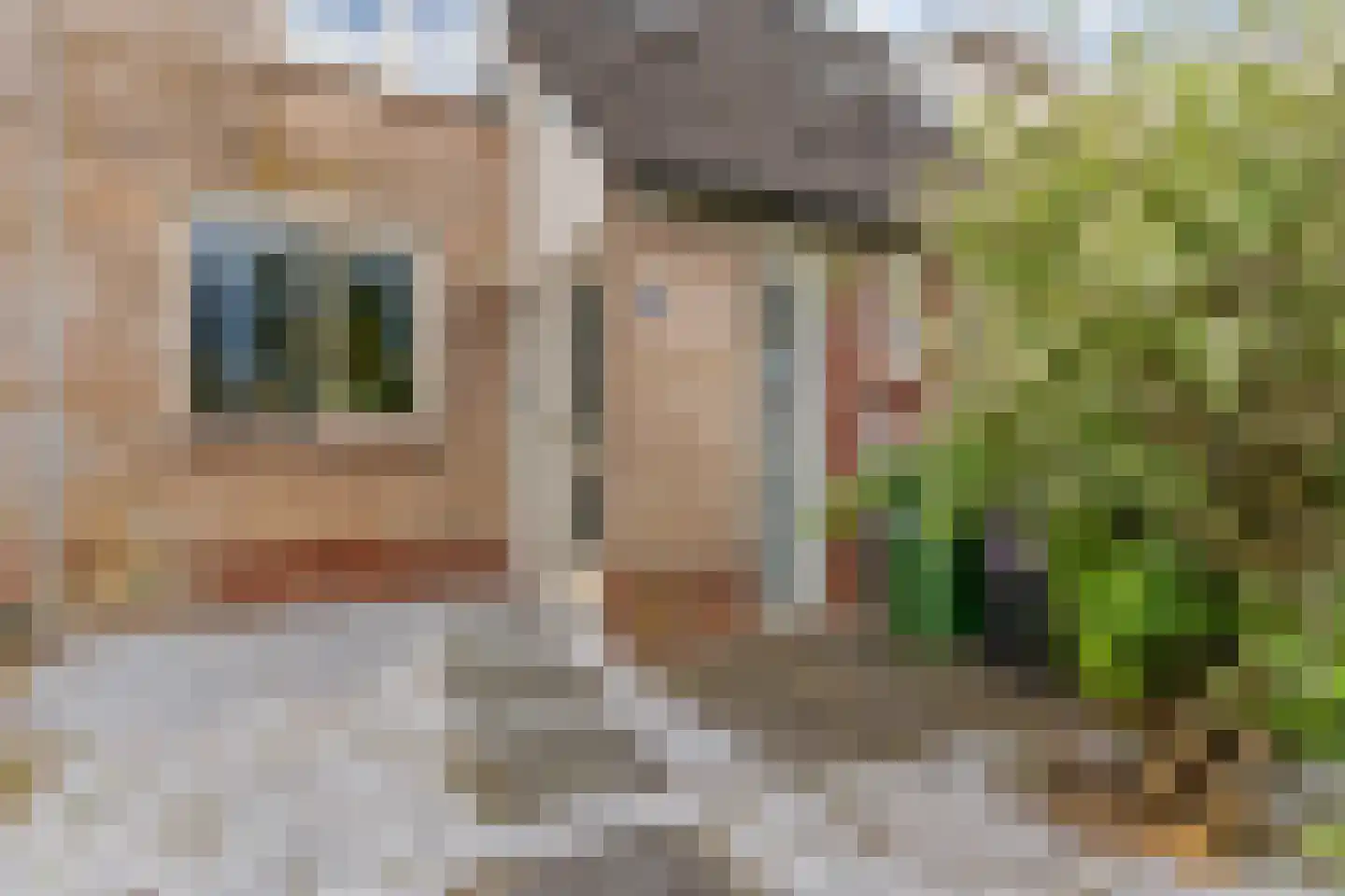 Watermunt 19 Streefkerk thumbnail 6
