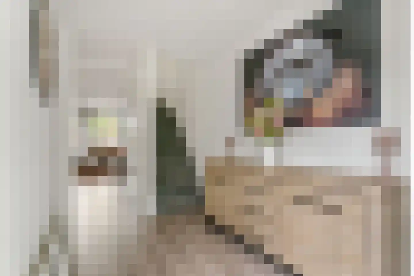 Watermunt 19 Streefkerk thumbnail 7