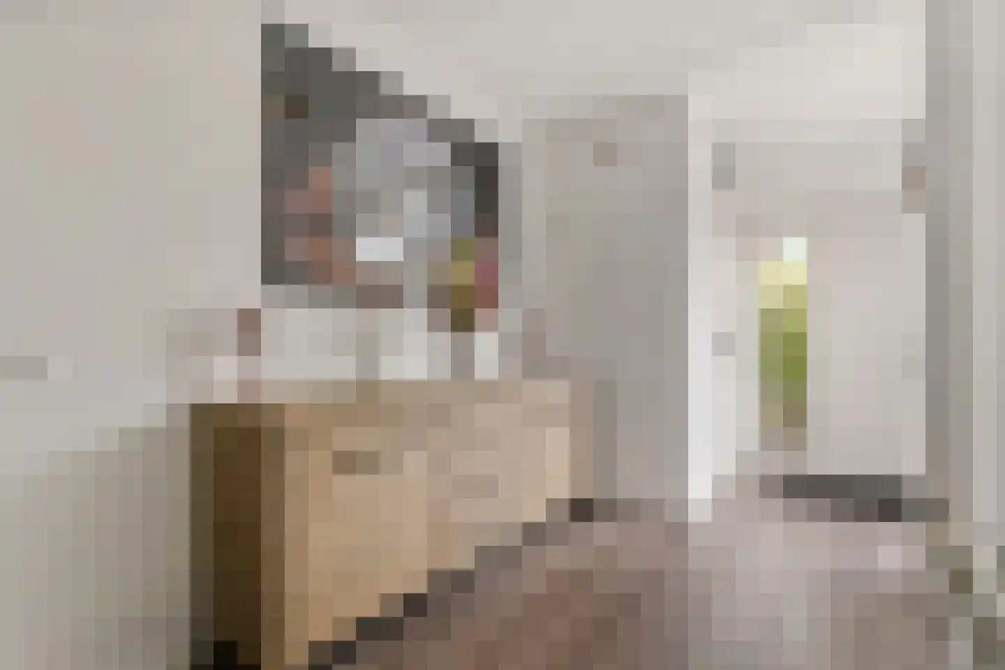Watermunt 19 Streefkerk thumbnail 9
