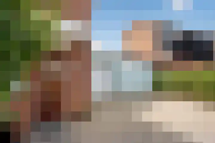 Watermunt 22 Den Haag thumbnail 6