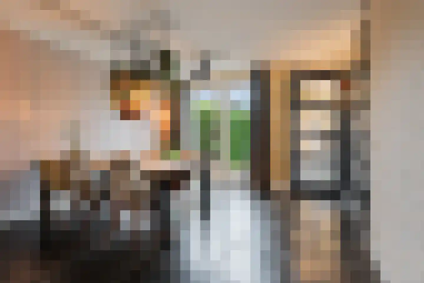 Watermunt 24 Schaijk thumbnail 10