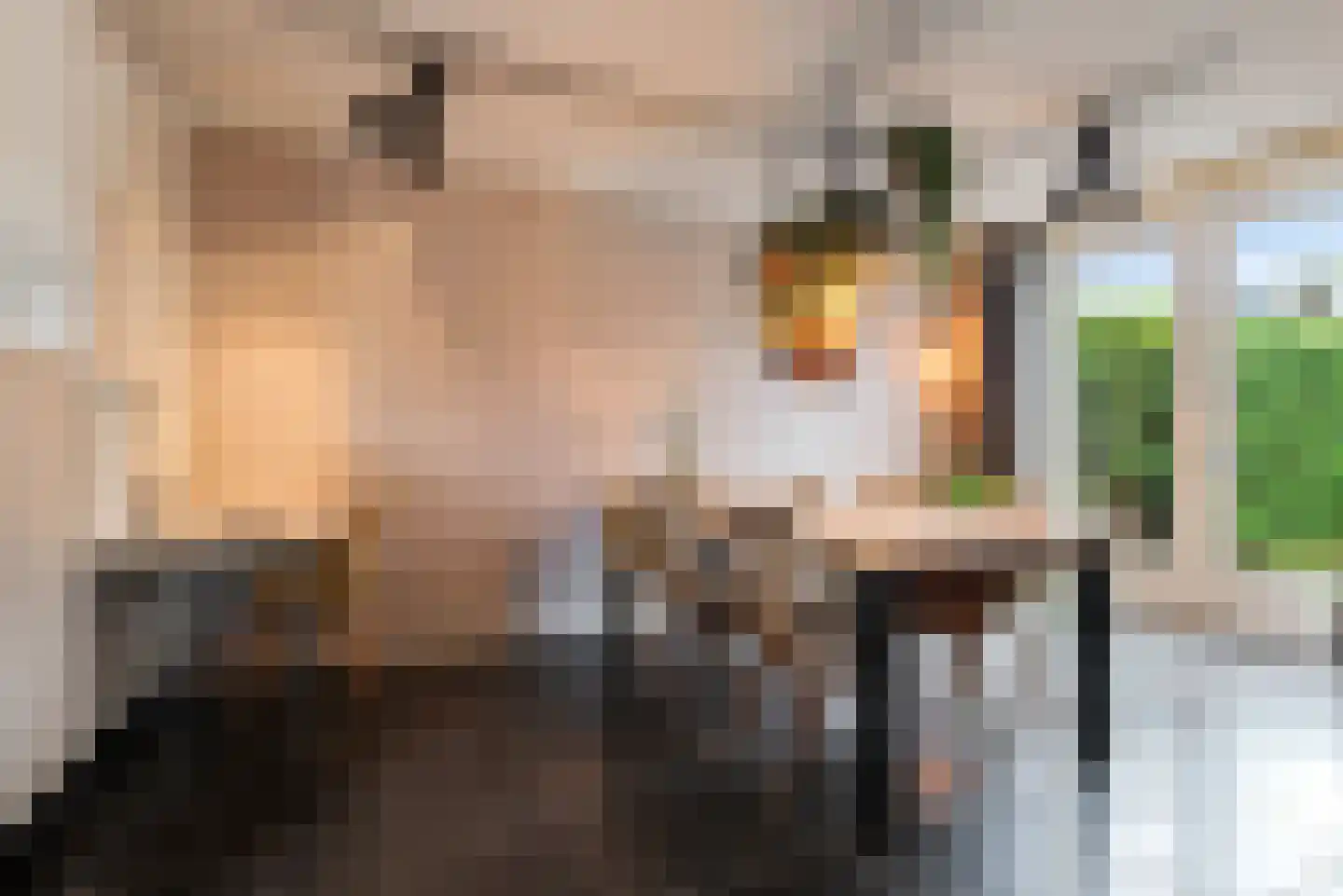 Watermunt 24 Schaijk thumbnail 11