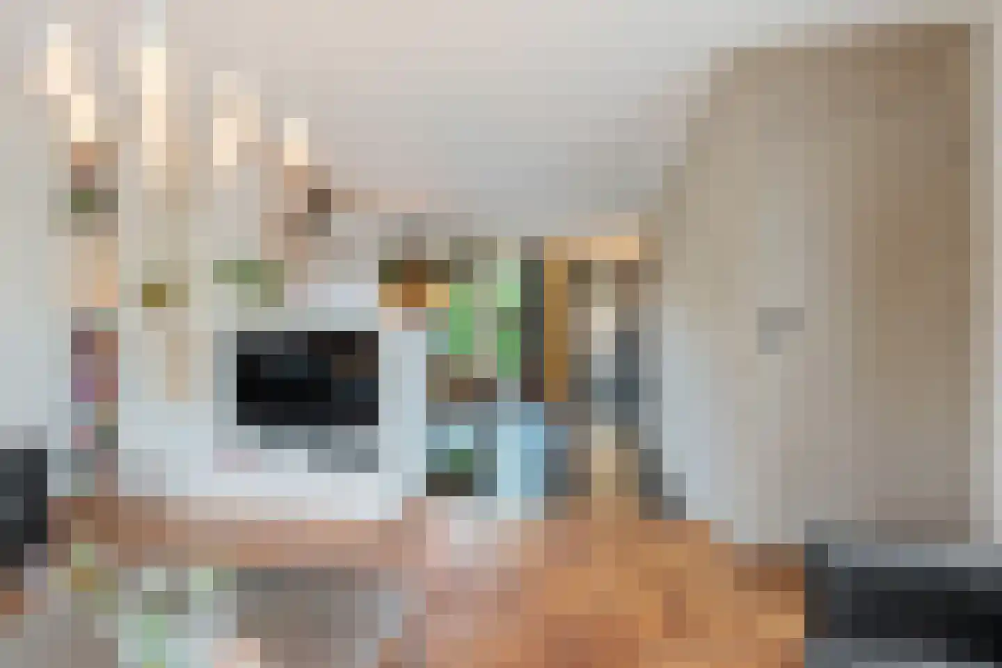 Watermunt 24 Schaijk thumbnail 19