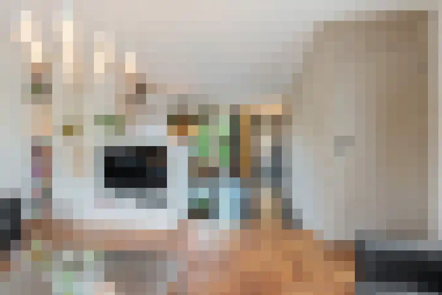 Watermunt 24 Schaijk thumbnail 20