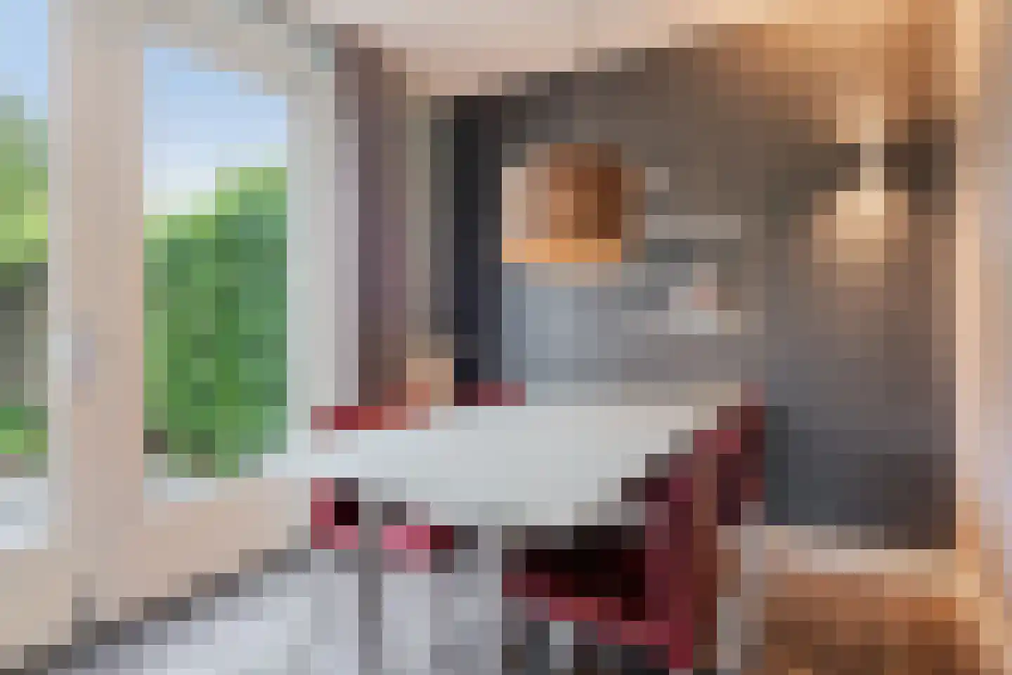 Watermunt 24 Schaijk thumbnail 23