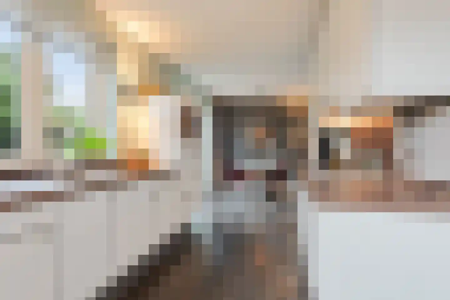 Watermunt 24 Schaijk thumbnail 27