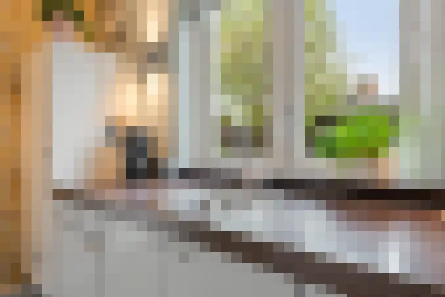 Watermunt 24 Schaijk thumbnail 28