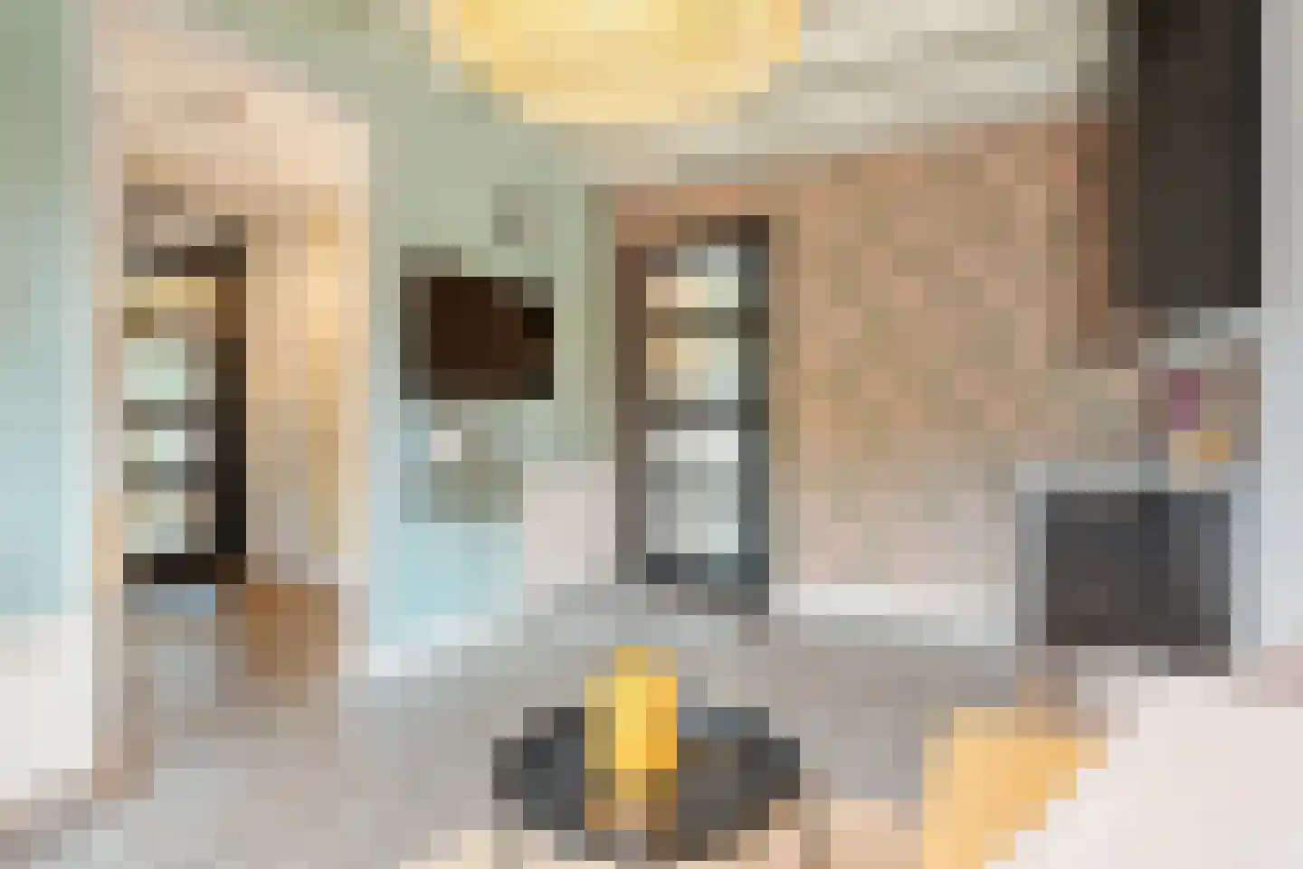 Watermunt 24 Schaijk thumbnail 32