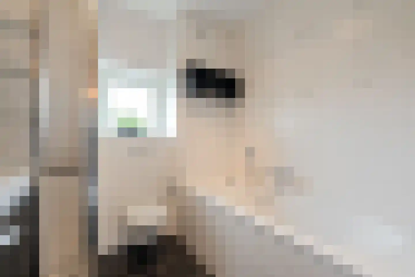 Watermunt 24 Schaijk thumbnail 34