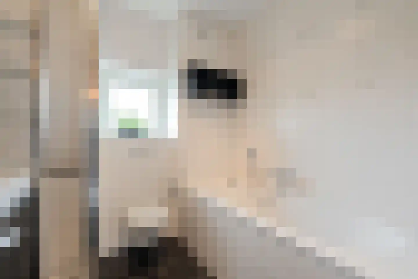 Watermunt 24 Schaijk thumbnail 35