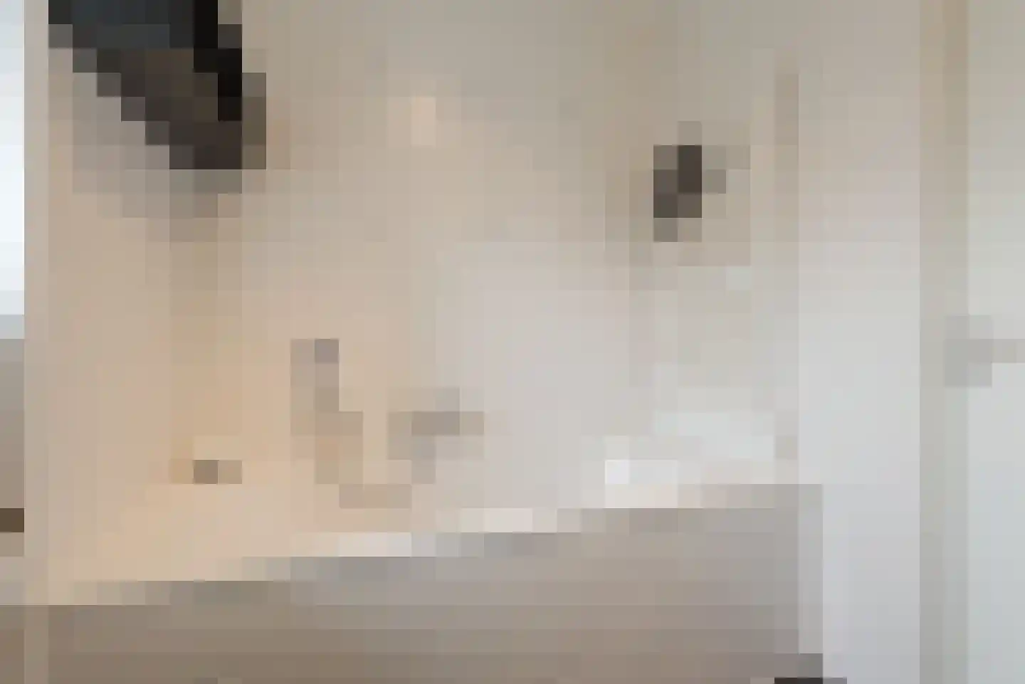 Watermunt 24 Schaijk thumbnail 38
