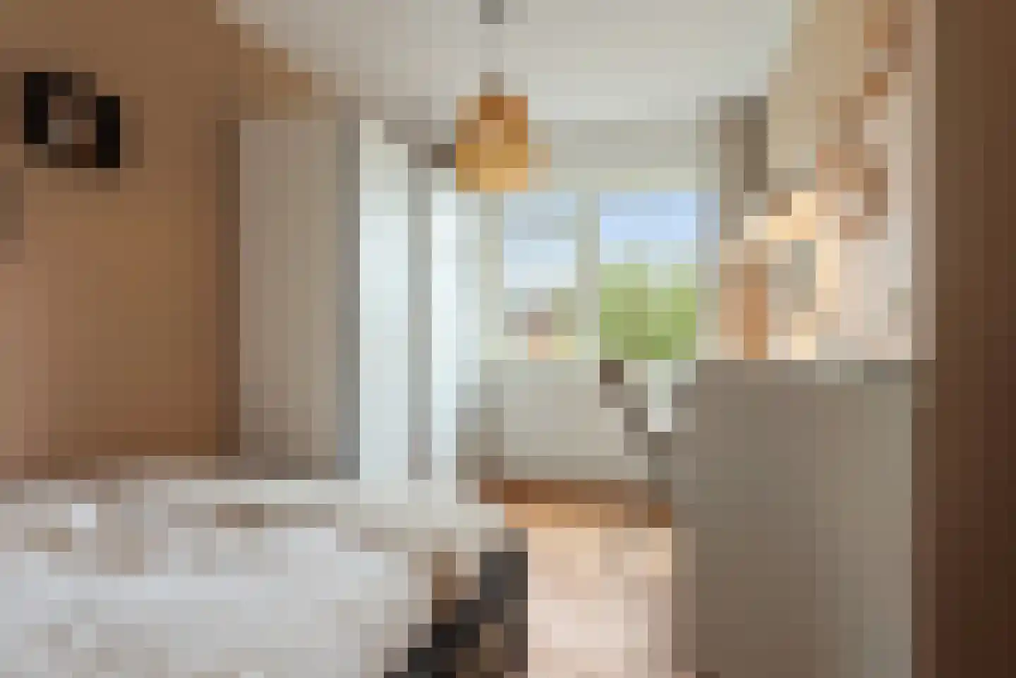 Watermunt 24 Schaijk thumbnail 44