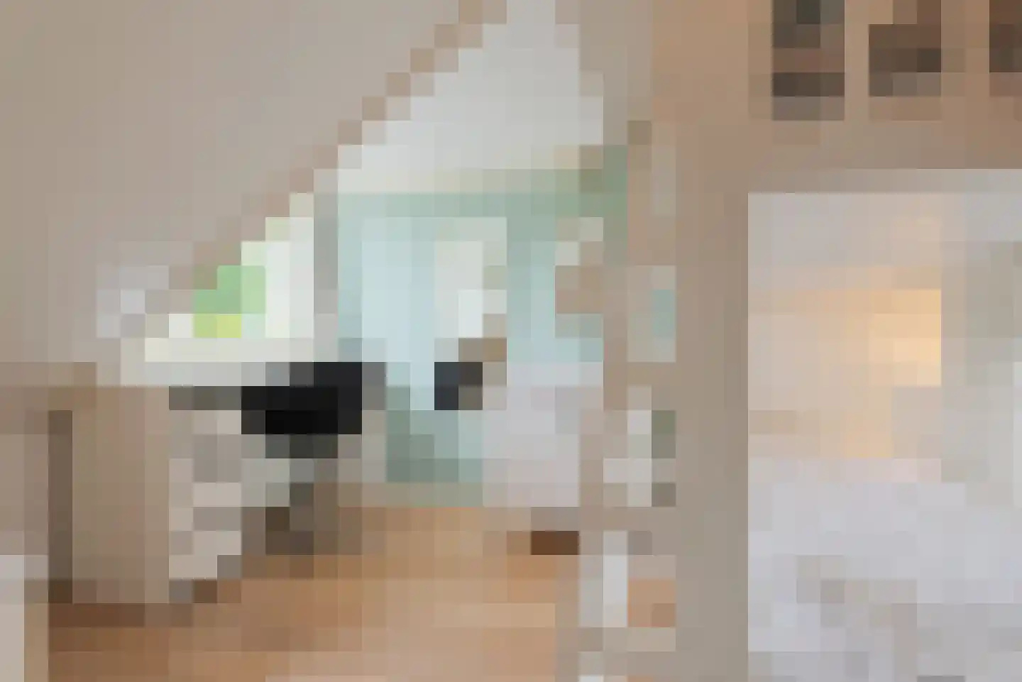 Watermunt 24 Schaijk thumbnail 48