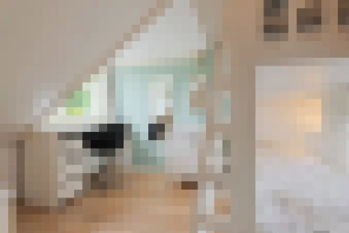 Watermunt 24 Schaijk thumbnail 49