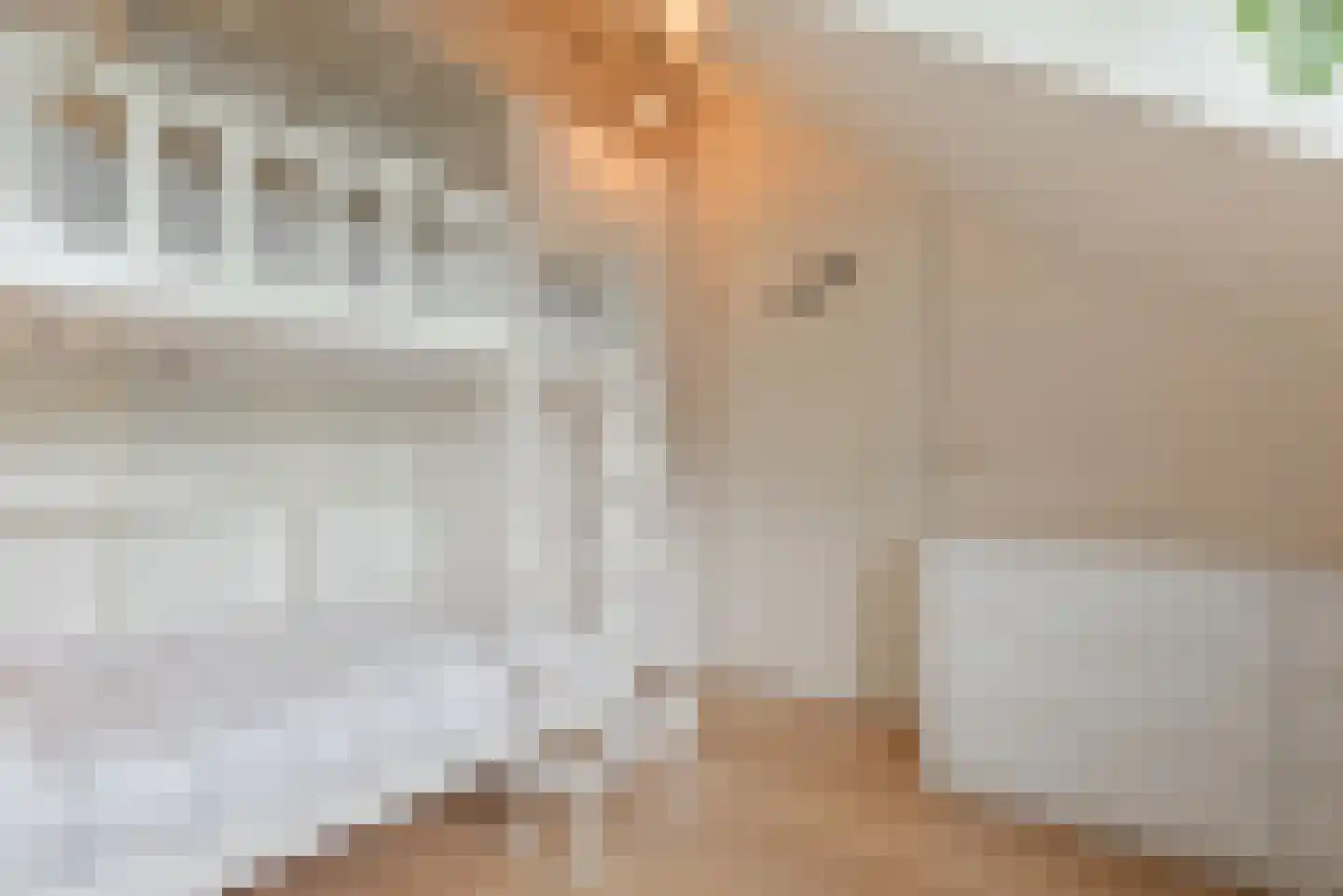 Watermunt 24 Schaijk thumbnail 52