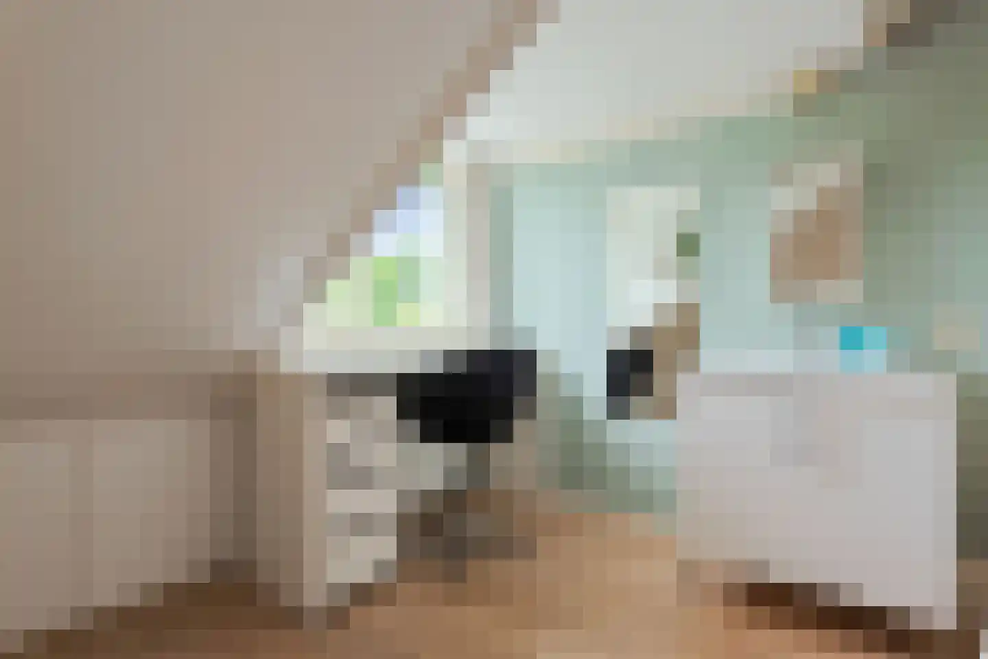 Watermunt 24 Schaijk thumbnail 54