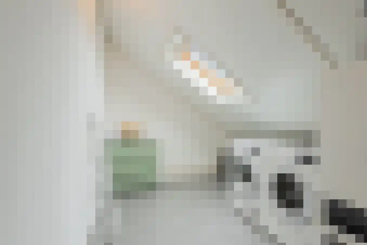 Watermunt 24 Schaijk thumbnail 55