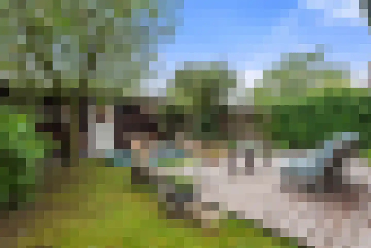 Watermunt 24 Schaijk thumbnail 60