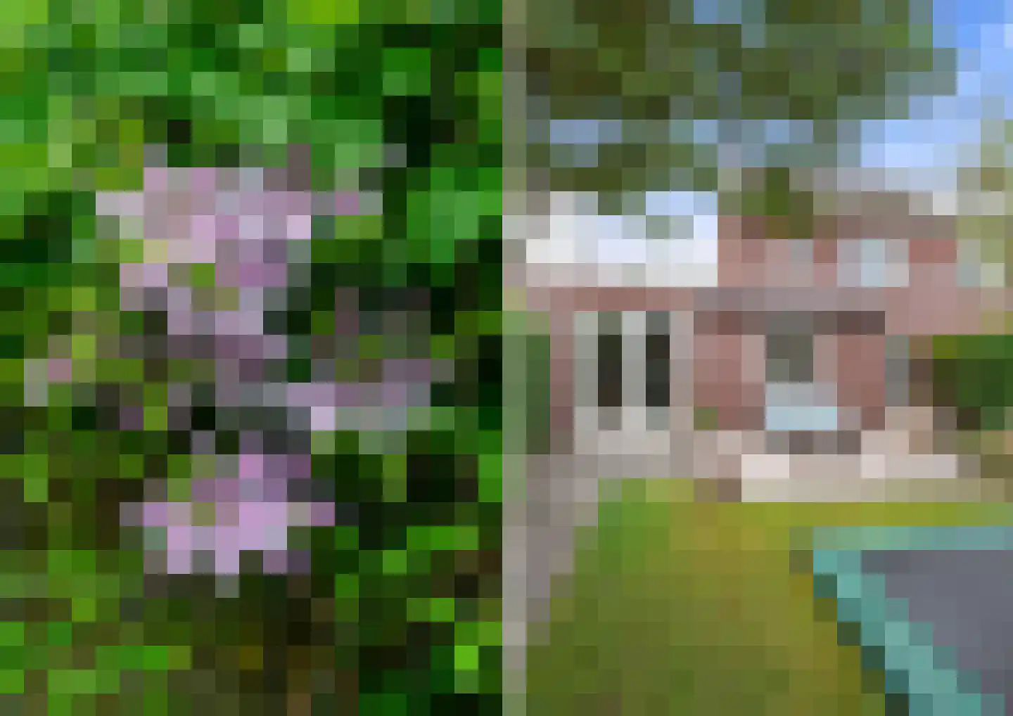 Watermunt 24 Schaijk thumbnail 66