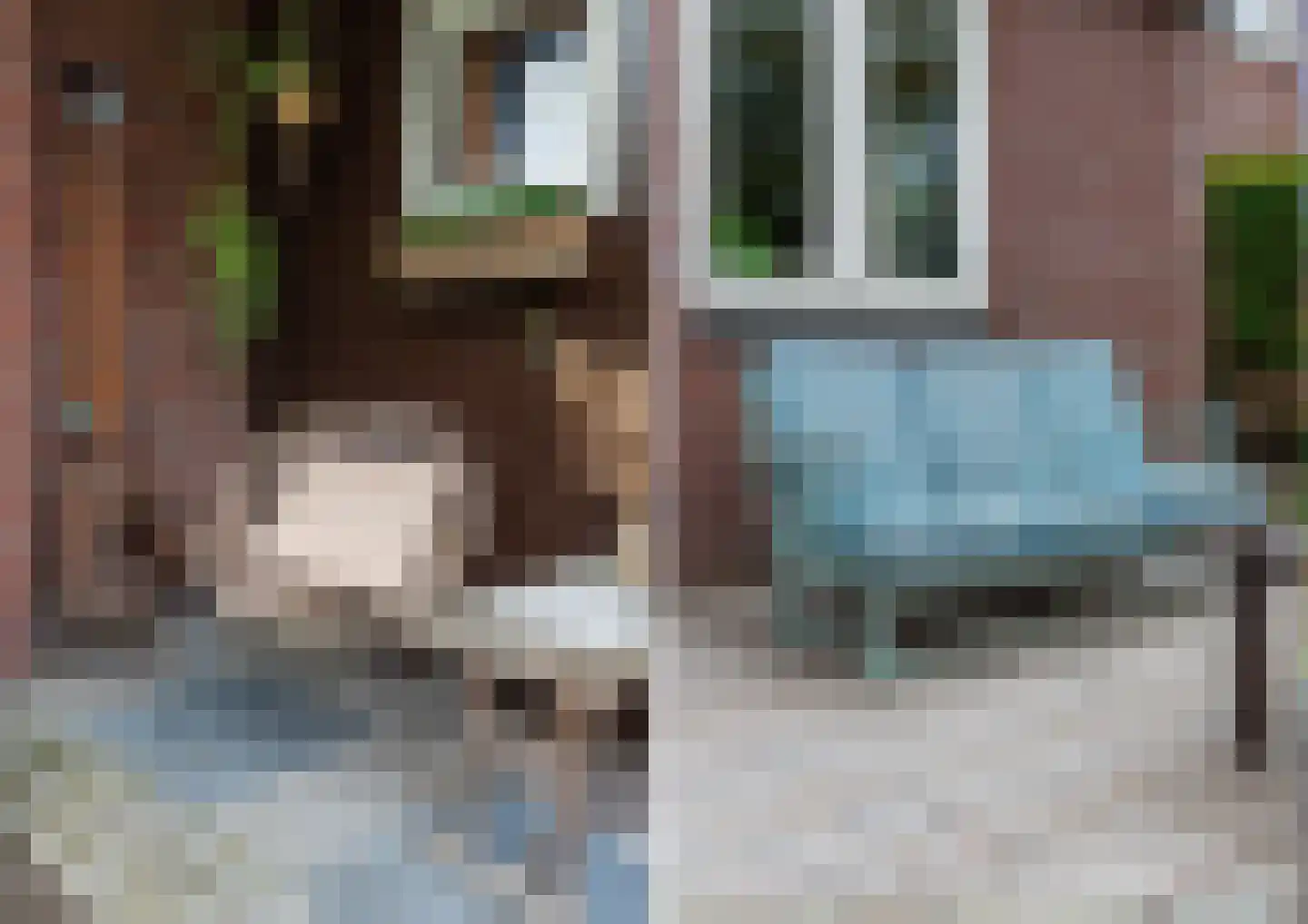 Watermunt 24 Schaijk thumbnail 67