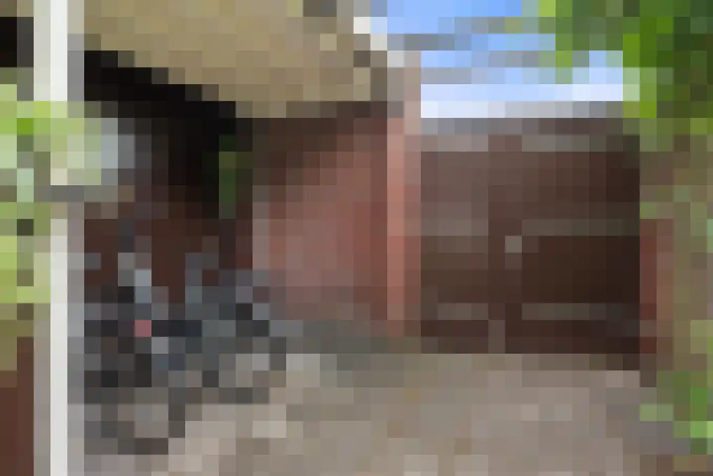 Watermunt 24 Schaijk thumbnail 70