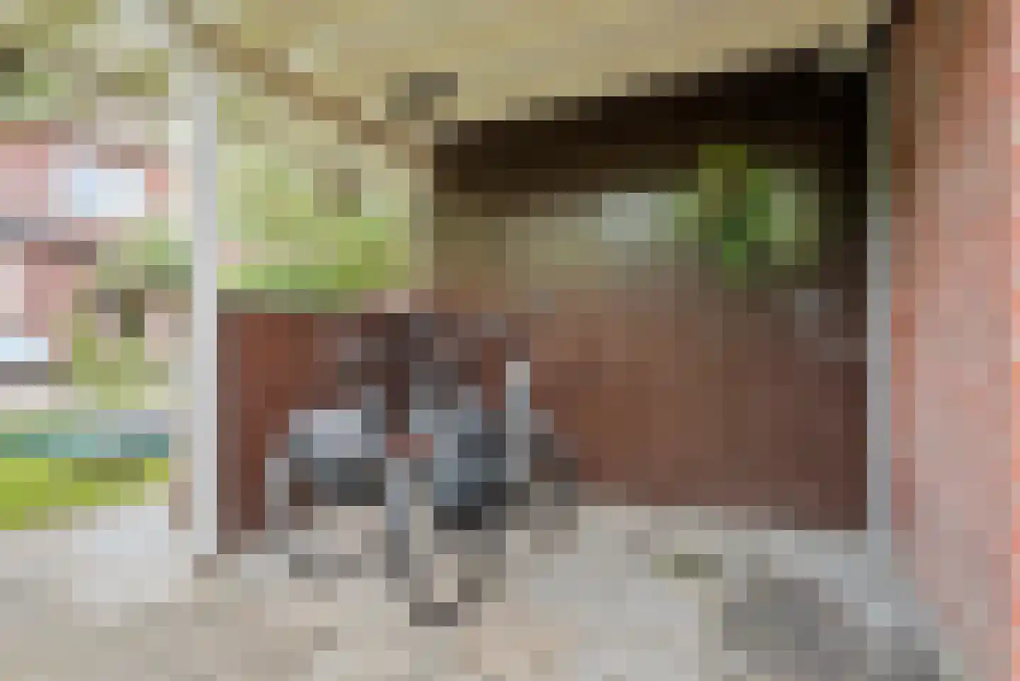 Watermunt 24 Schaijk thumbnail 71