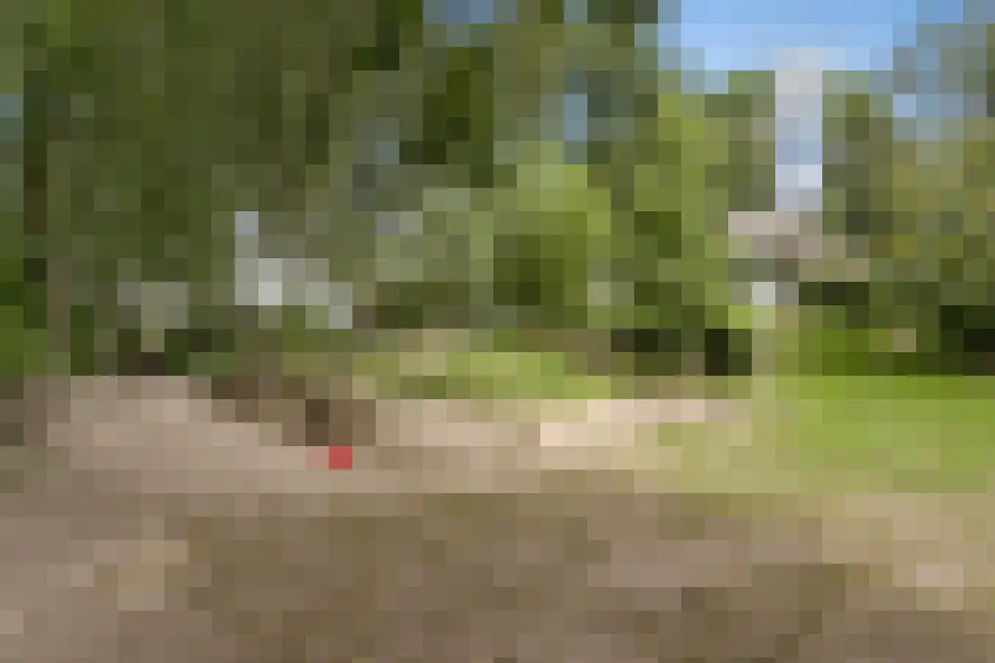 Watermunt 24 Schaijk thumbnail 77