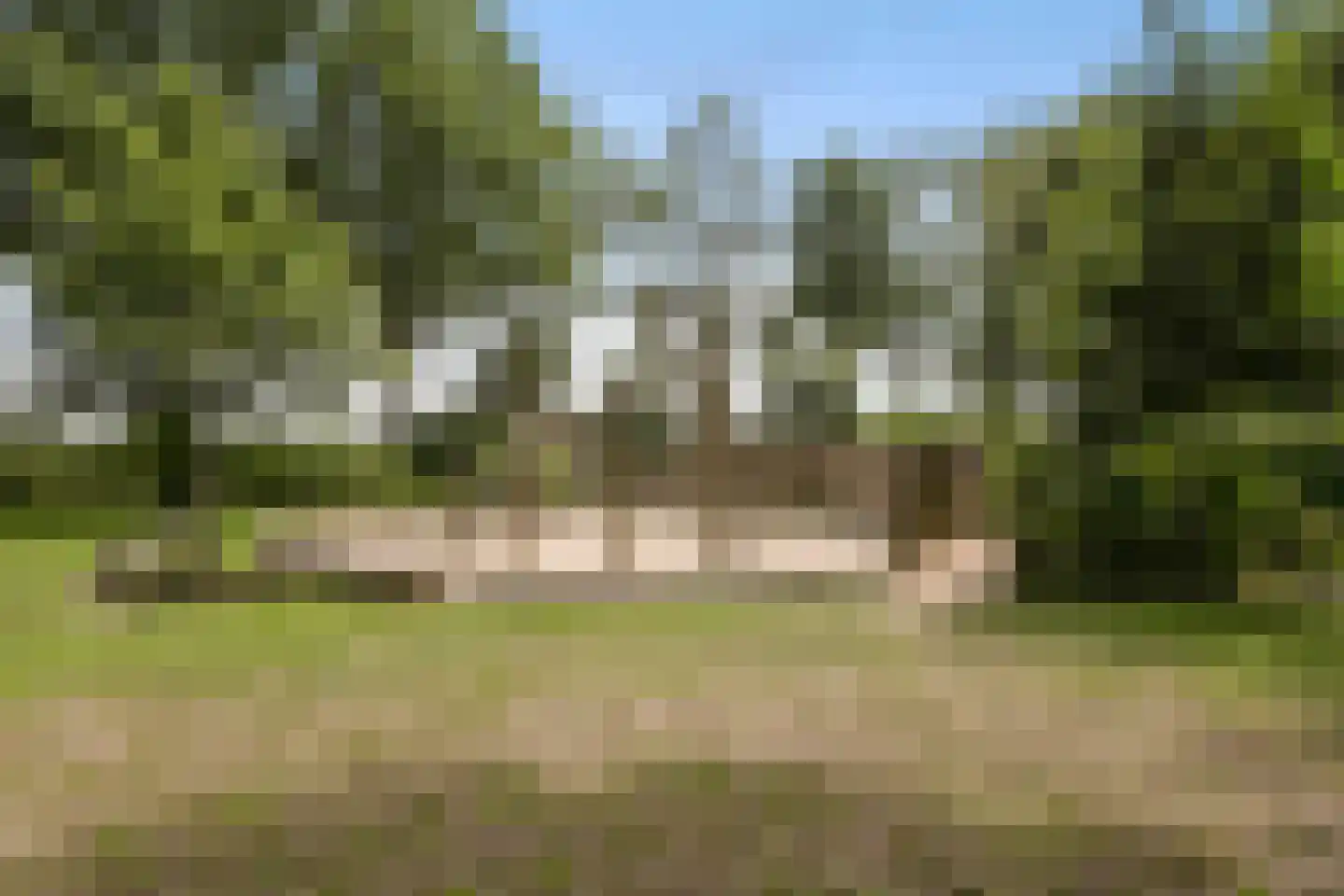 Watermunt 24 Schaijk thumbnail 78