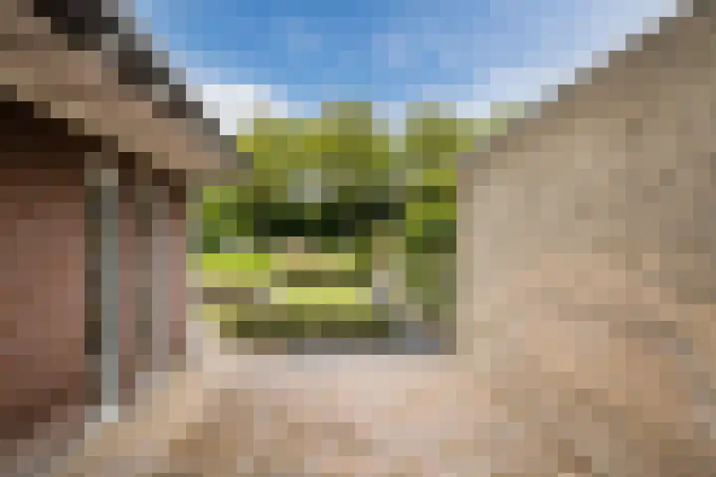 Watermunt 29 Oudkarspel thumbnail 56