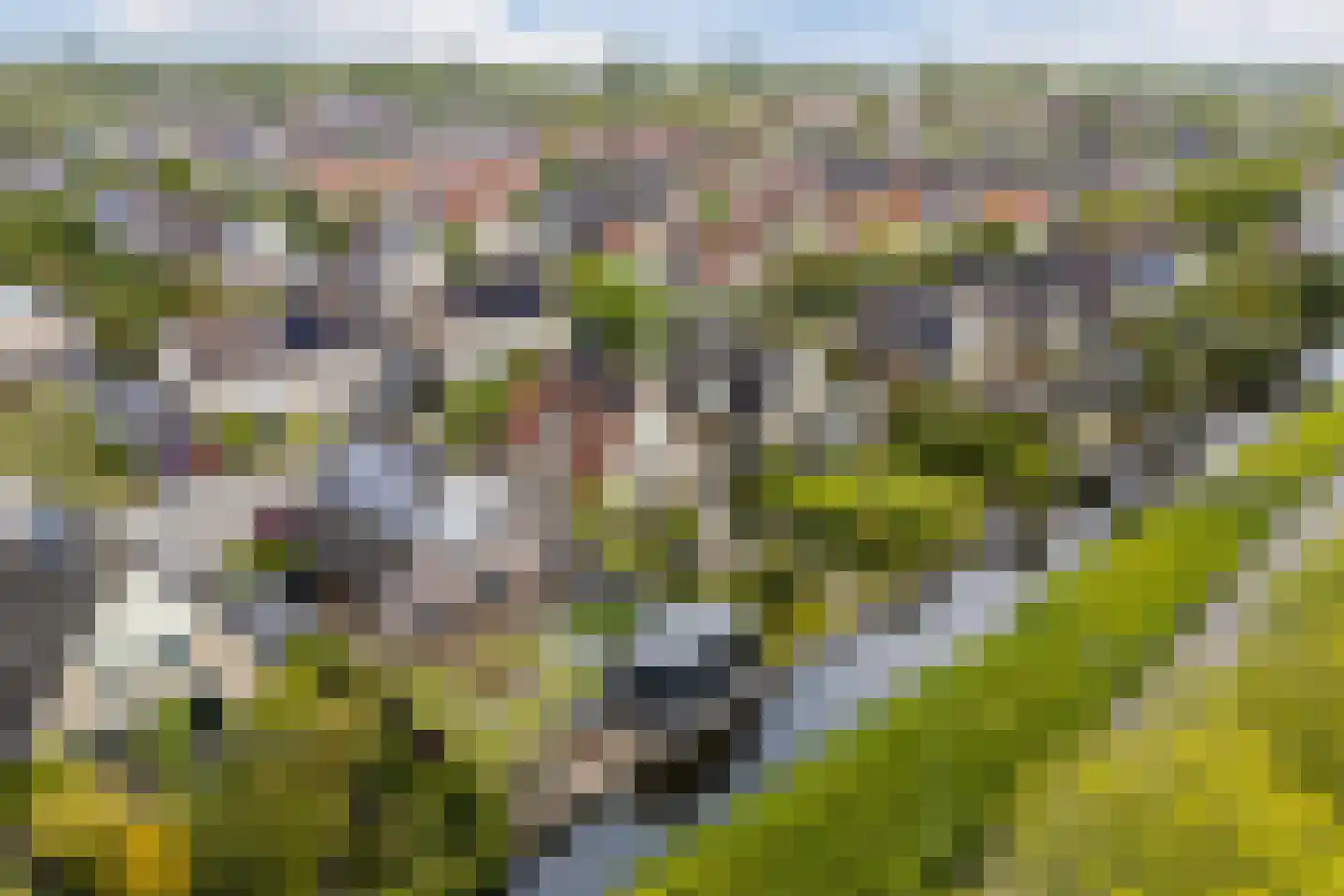 Watermunt 29 Oudkarspel thumbnail 59