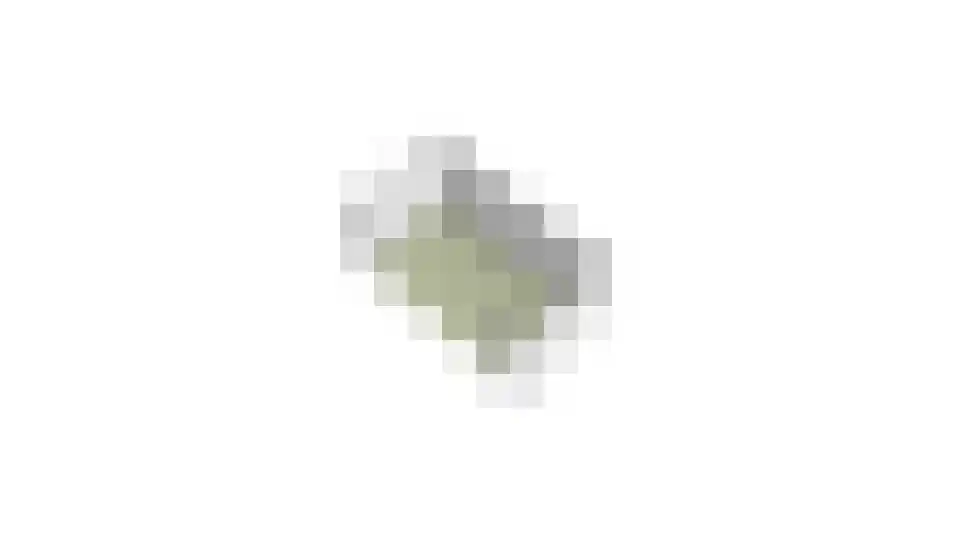 Watermunt 29 Oudkarspel thumbnail 64