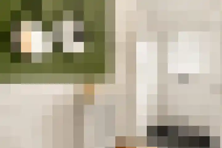 Watermunt 3 Velserbroek thumbnail 12