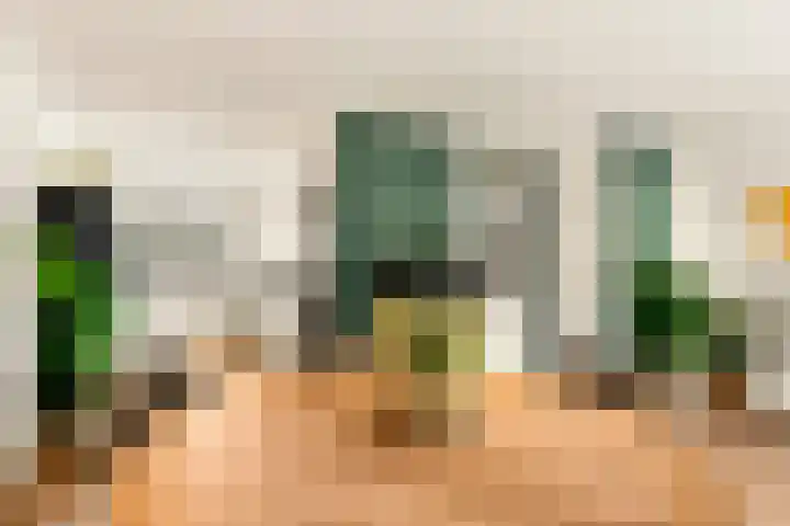 Watermunt 3 Velserbroek thumbnail 15