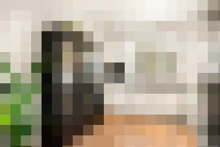 Watermunt 3 Velserbroek thumbnail 17