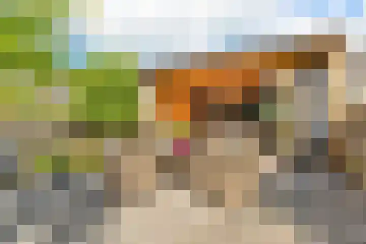 Watermunt 3 Velserbroek thumbnail 29