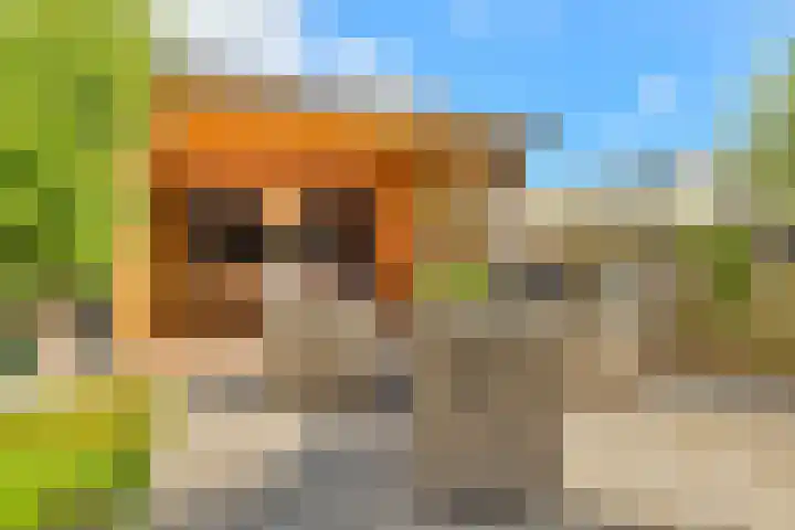 Watermunt 3 Velserbroek thumbnail 30