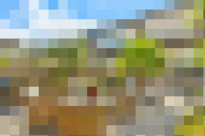 Watermunt 3 Velserbroek thumbnail 32