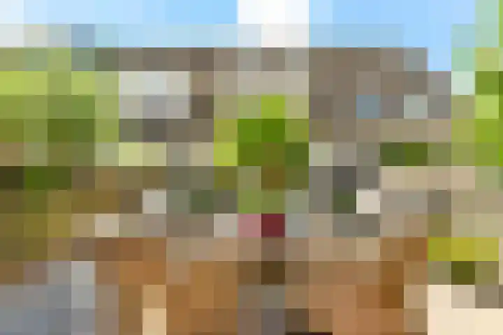 Watermunt 3 Velserbroek thumbnail 33