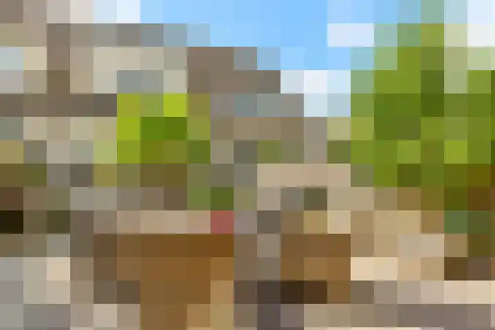 Watermunt 3 Velserbroek thumbnail 34