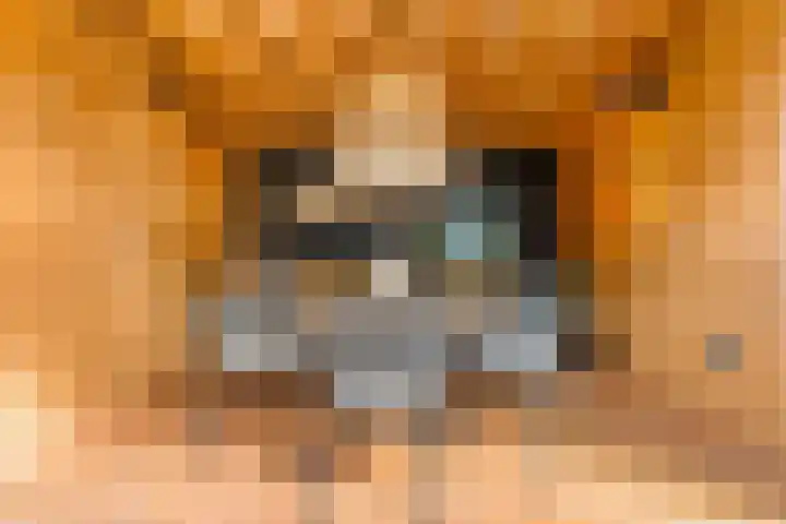 Watermunt 3 Velserbroek thumbnail 36
