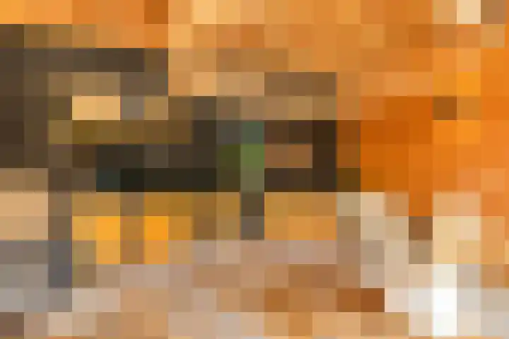 Watermunt 3 Velserbroek thumbnail 38