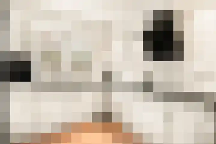Watermunt 3 Velserbroek thumbnail 4
