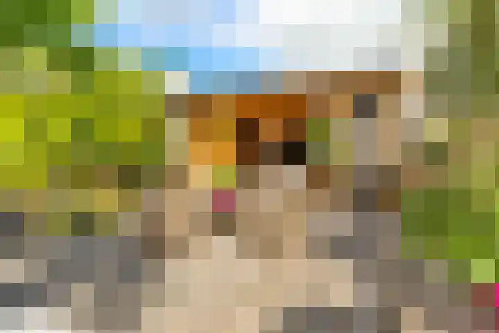 Watermunt 3 Velserbroek thumbnail 43